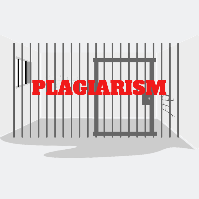 college plagiarism checker